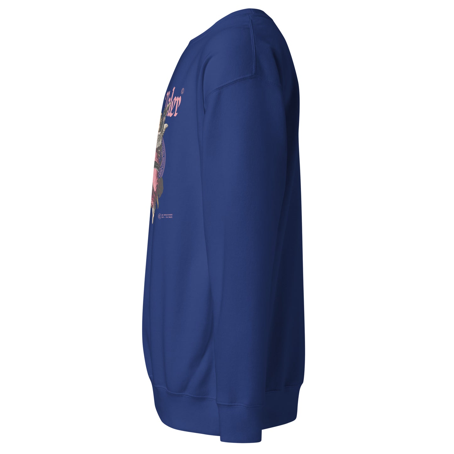 Divine Angel Sweatshirt